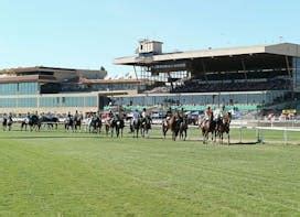 Turf Paradise Racetrack Picks, Entries, Race Schedule, Best Bets & More ...