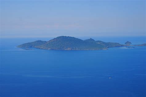 Fincan da kek, Firina sebzeli tavuk Çandarlı-Turkiye 5 | SOFRAMIZ.com