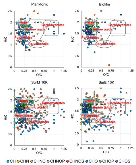 Correlation between the Antimicrobial Activity and Metabolic Profiles ...