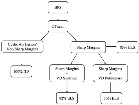 Predictive Role of Venous Drainage and Lesion Margins in ...