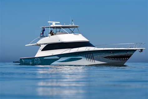 Gyro Marine 的图像结果