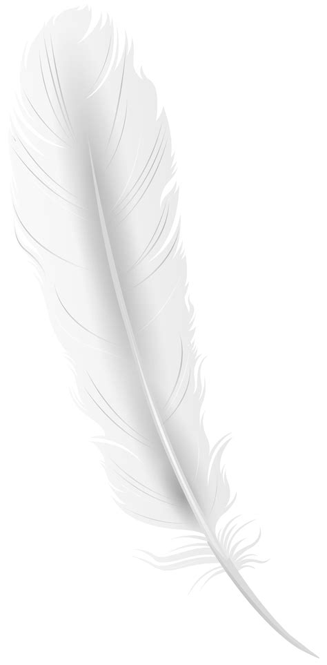 White Feather PNG Clip Art Image | Gallery Yopriceville - High-Quality ...