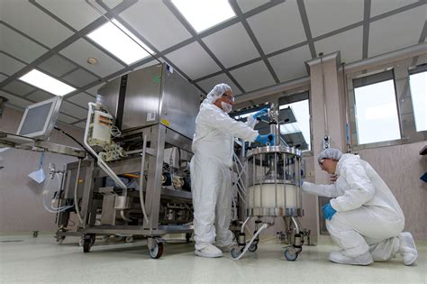 Downstream Processing Procedure 的图像结果