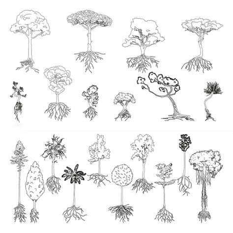 Free CAD Tree Usage Tutorial 的图像结果