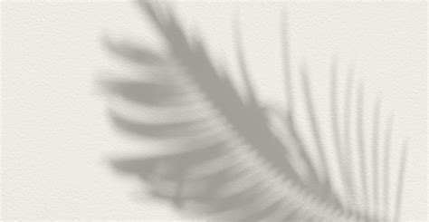 Was ist White Saviorism? FUMA füllt die Wissenslücke!