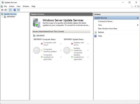 WSUS Tutorial 的图像结果
