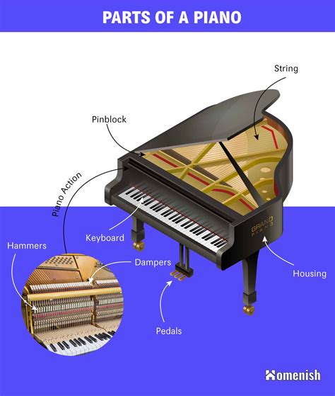 Parts of a Piano Explained with Illustrated Diagram