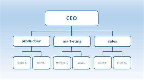 Functional Organizational Structure 的图像结果