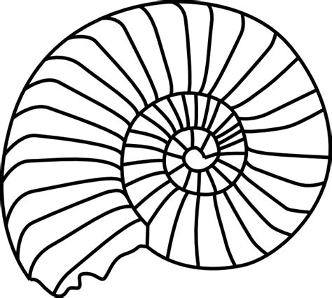 Image result for Shell Outline Printable