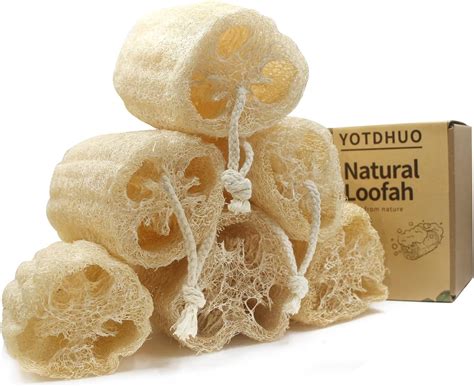 Amazon.com: Natural loofah Sponges Exfoliating Body Scrubber(6" Family ...