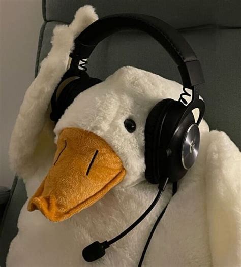 Shell Scripting Abhishek 的图像结果