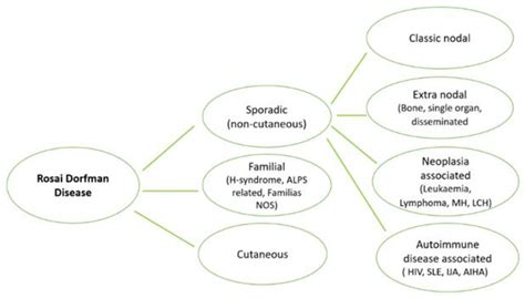 Diagnostics | Free Full-Text | Primary Bone Lesions in Rosai–Dorfman ...