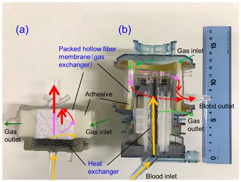 Newly Developed Pediatric Membrane Oxygenator that Suppresses Excessive ...