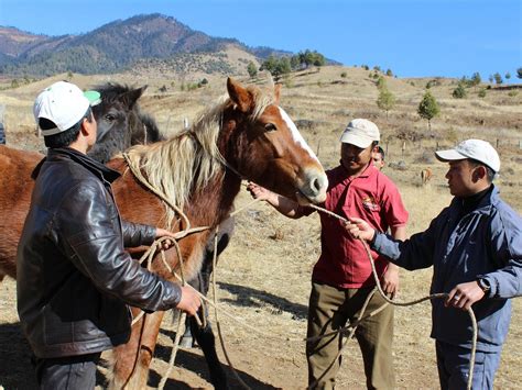 WIND HORSE RANCH & RIDING CLUB (2025) All You Need to Know BEFORE You ...