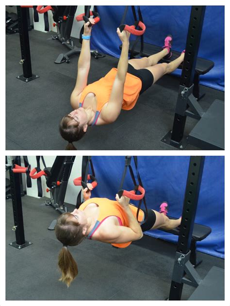 Image result for Modified Inverted Row