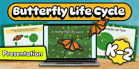 Life Cycle of a Butterfly PowerPoint | Biology | Twinkl USA