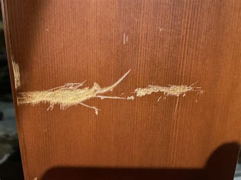 How to Repair Gouges in Wood Turning Projects 的图像结果