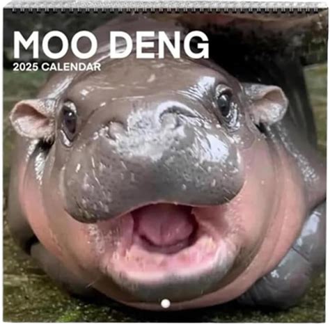 Lttoisl 2025 Moo Deng Calendar, Funny Moo Deng Hippo India | Ubuy