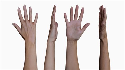 Male and Female Hand Pack