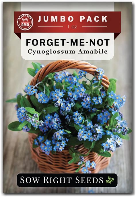 Amazon.com : Sow Right Seeds - Bulk Forget-Me-Not Flower Seeds for Planting - 1 Ounce, 5300 ...