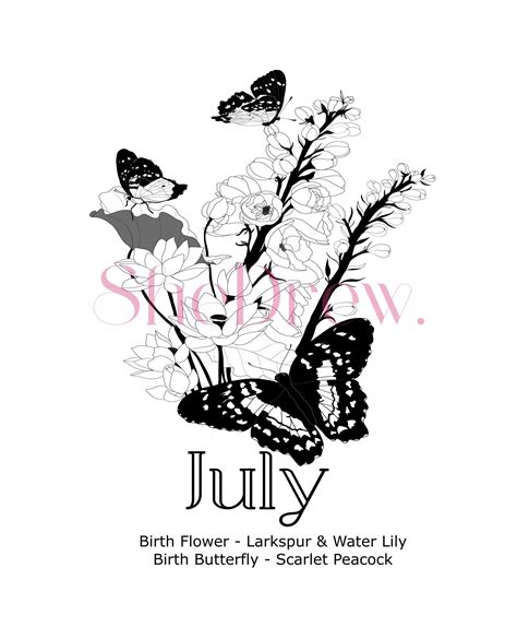 July Birth Month Flowers & Butterfly – SheDrew.