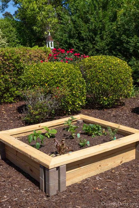 6 Inexpensive Raised Garden Bed Ideas - Driven by Decor