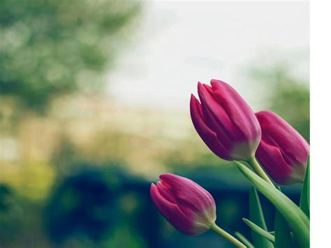 About Lori | Loribturner