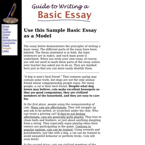 Basic Essay Example 的图像结果