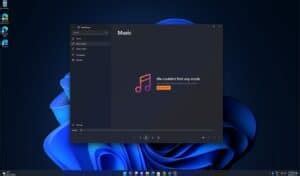 Update Windows Media Player 的图像结果