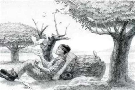 Optical Illusion: The Hidden Horse Challenge, Putting Your Visual ...