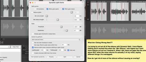 Image result for Reaper Dynamic Split