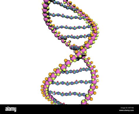 Image result for DNA and Computer Code