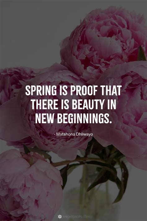 103 Quotes to Embrace New Beginnings - Bright Drops