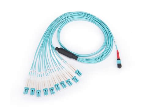 HA60520QPH-KB010F | EDGE™ Solutions 24 F MTP® Breakout Harness 24 F MTP ...