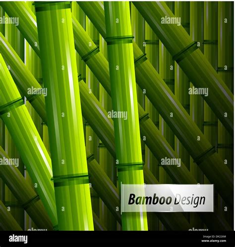 Yellow stem bamboo Stock Vector Images - Alamy