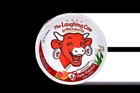 Cheese Spread in Tub | The Laughing Cow