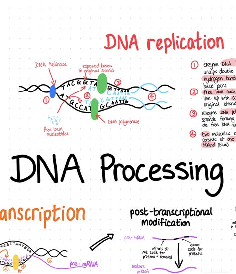 How to Process a DNA Sample 的图像结果