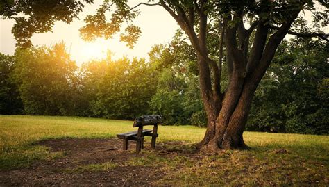 Rominger Funeral Home