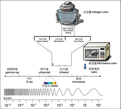 Uses Of Microwaves Rays at Robert Hambright blog