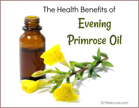 Evening Primrose Oil Benefits Period at Tamara Wickline blog
