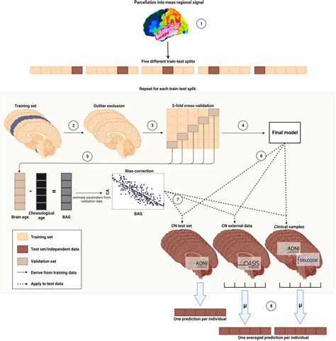 MRI or 18F-FDG PET for Brain Age Gap Estimation: Links to Cognition, Pathology, and Alzheimer ...