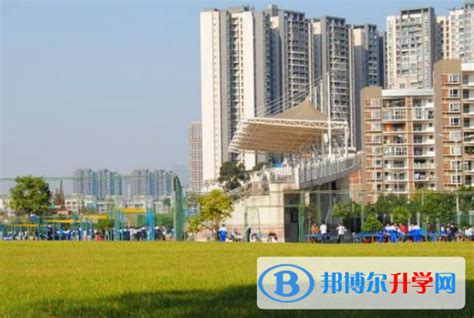 四川省双流县中心中学2023年网站网址