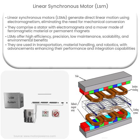 Synchronous Motor 的图像结果
