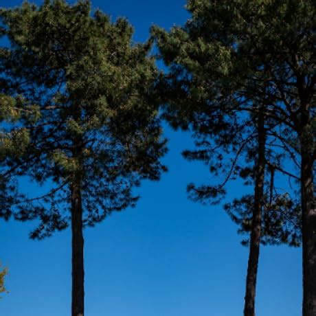 Godox AD600 Pro 600W All-in-one Outdoor Flash (Black) : Amazon.in ...