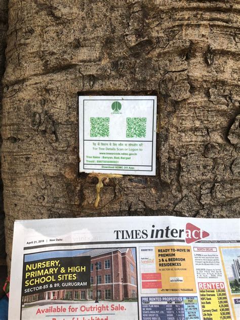 NDMC Dug Holes In Trees At Lodhi Garden To Stick Plastic With Logo And ...