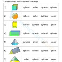 3D Shapes Important Questions - Class 7 Maths PDF Download