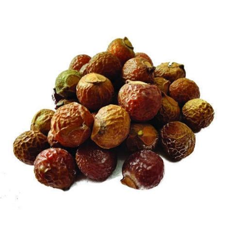 Reetha / Soapnut (Whole Nuts) – Formulators Inc