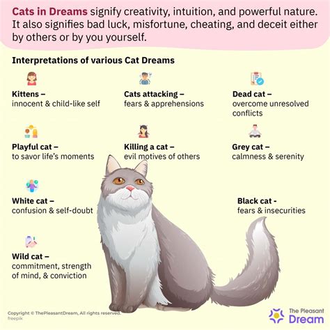 White Cat Meaning Dream at Harold Chappell blog