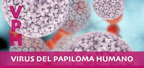 ¿Cómo Afecta El Virus Del Papiloma Humano A Los Hombres – NRWMRI