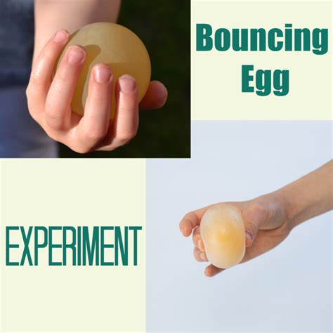 Bouncy Egg Experiment - Cool Science for Kids